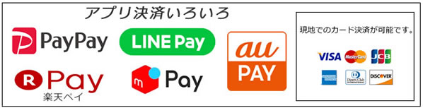 キャッシュレス払い